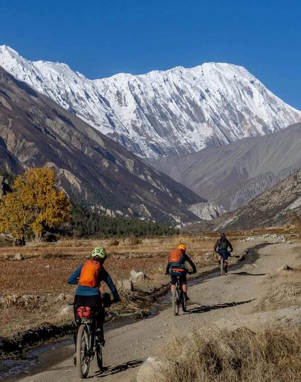 Cross-Border Biking Tours