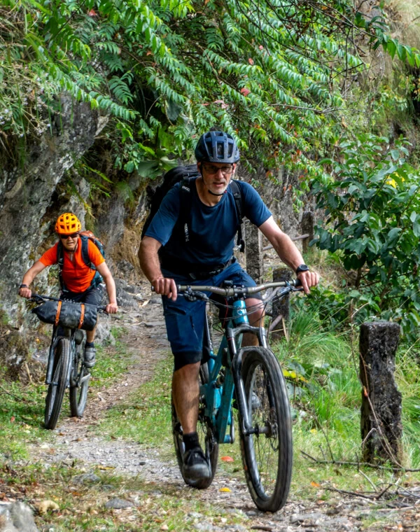 Half Day Biking Tours